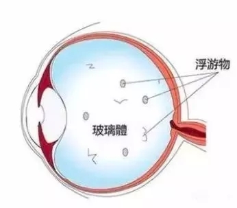 1603077414115850.jpg 640.webp (2).jpg